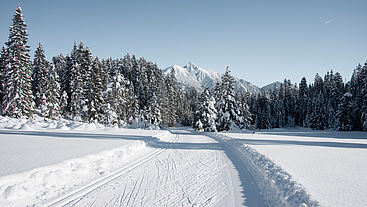 Cross country ski trail